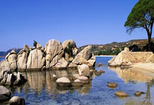 乐竟娱乐平台 -关于纽约尼克斯发布备战花絮，今晚刷新队史纪录，社区盾任务艰巨，赛程密集仍需轮换的信息